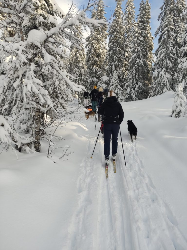 winter walk