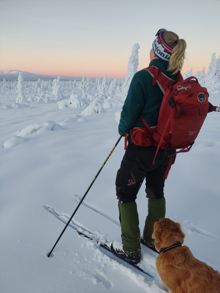 winter ski