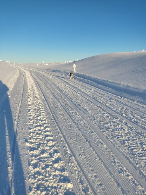 winter landscape